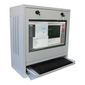 Armadio di sicurezza per PC, monitor LCD e tastiera Grigio